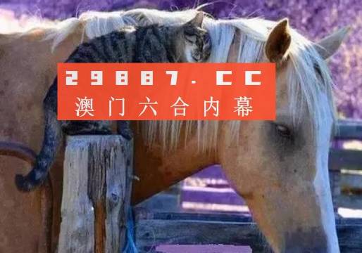 澳門(mén)一肖一碼一待一中四不像，探索與解析，澳門(mén)一肖一碼一待一中四不像，深度解析與探索