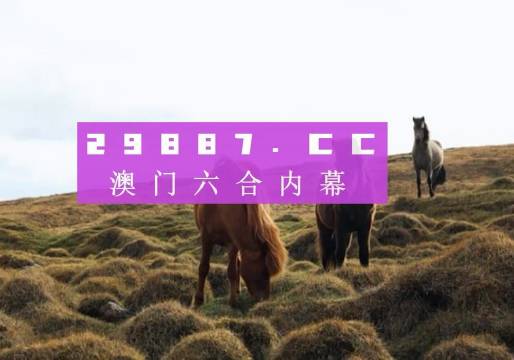 澳門(mén)今晚開(kāi)獎(jiǎng)什么，揭秘彩票背后的秘密與策略分析，澳門(mén)彩票開(kāi)獎(jiǎng)揭秘，策略分析與秘密探索