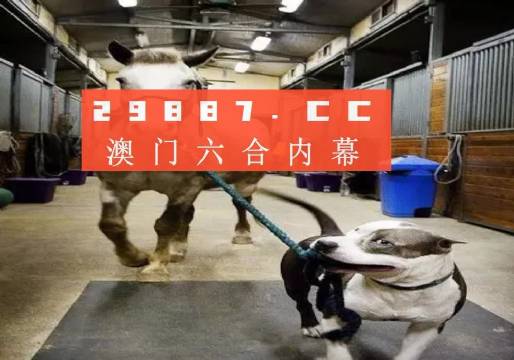 澳門一肖一碼一必中一肖，同舟前進(jìn)的奧秘與策略，澳門一肖一碼必中策略與前進(jìn)奧秘，同舟共濟(jì)的揭秘與策略
