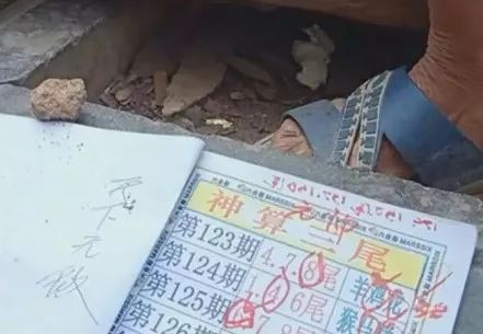 香港中特期期準(zhǔn)資料，深度解析與探索，香港中特期期準(zhǔn)資料深度解析與探索報(bào)告