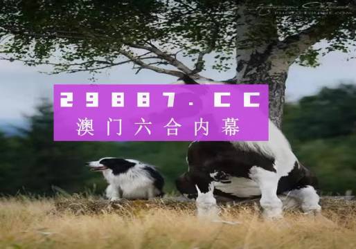 澳門天天空彩官網(wǎng)資料，探索彩票世界的門戶，澳門天天空彩官網(wǎng)資料，彩票世界探索門戶