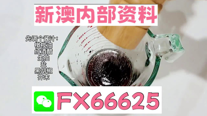 2025年新澳正版免費料，全面解析與獨家資訊，獨家解析，揭秘新澳正版免費料獨家資訊至2025年