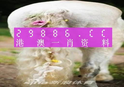 澳門羊了個羊與各大圖庫的資料揭秘，2023年澳門今晚必中一肖一碼永久免費資料庫大解密，澳門羊了個羊與資料庫揭秘，2023年必中一肖一碼永久免費資料大解密