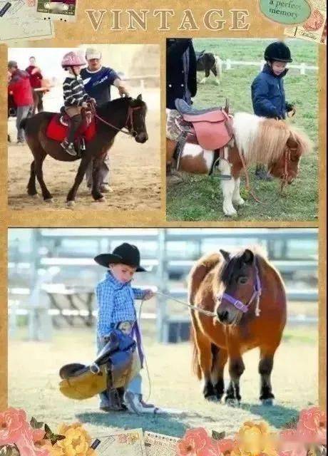 揭秘今晚澳門特馬開彩結果，四不像彩種深度解析，澳門特馬開彩結果揭秘，四不像彩種深度解析與預測