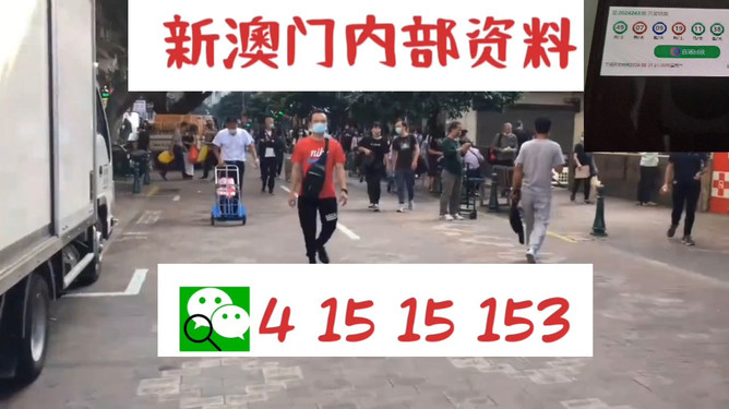 澳門(mén)管家婆，揭秘一種獨(dú)特的文化現(xiàn)象與娛樂(lè)體驗(yàn)，澳門(mén)管家婆，文化現(xiàn)象與娛樂(lè)體驗(yàn)的揭秘