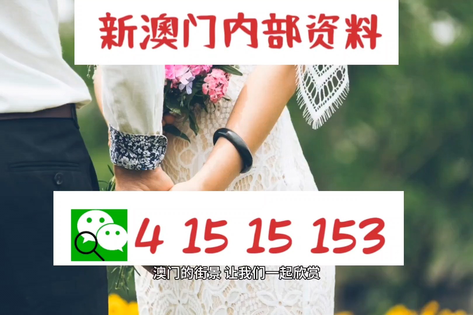 新澳平碼出碼公式，揭秘背后的秘密與策略，揭秘新澳平碼出碼公式，背后的秘密與策略解析