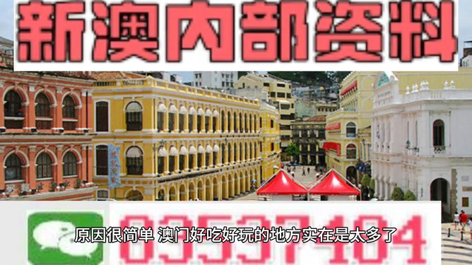 澳門精準資料大全免費，探索與解析，澳門精準資料大全免費解析探索