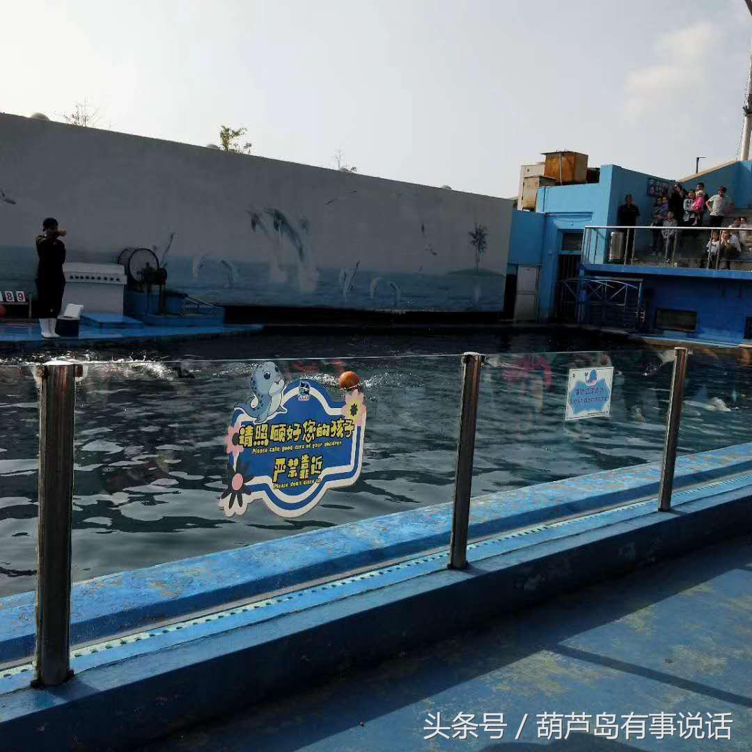 揭秘9點30分彩新澳，全方位解讀彩票新玩法，揭秘9點30分彩新澳，全方位解讀彩票新玩法攻略