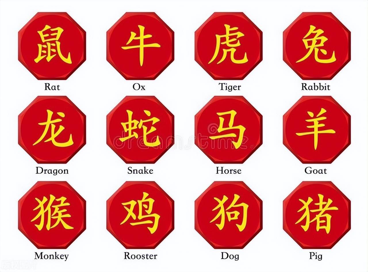 新澳特碼，羊牛虎各數(shù)10——揭秘背后的數(shù)字奧秘，揭秘新澳特碼數(shù)字奧秘，羊?；⒏鲾?shù)背后的秘密
