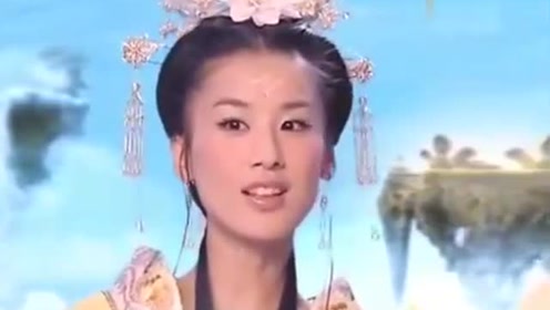 曾道道人資料免費大全，深度探索與解析，曾道道人資料深度解析與免費大全探索