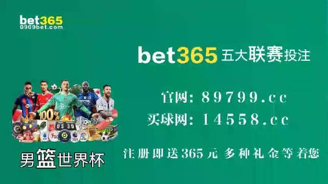 王中王中特馬王中王精準(zhǔn)資料解析與SEO優(yōu)化策略探討，王中王中特馬精準(zhǔn)資料解析與SEO策略探討