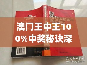 新澳門(mén)王中王期期中，探索與解析，新澳門(mén)王中王期期中，深度探索與解析