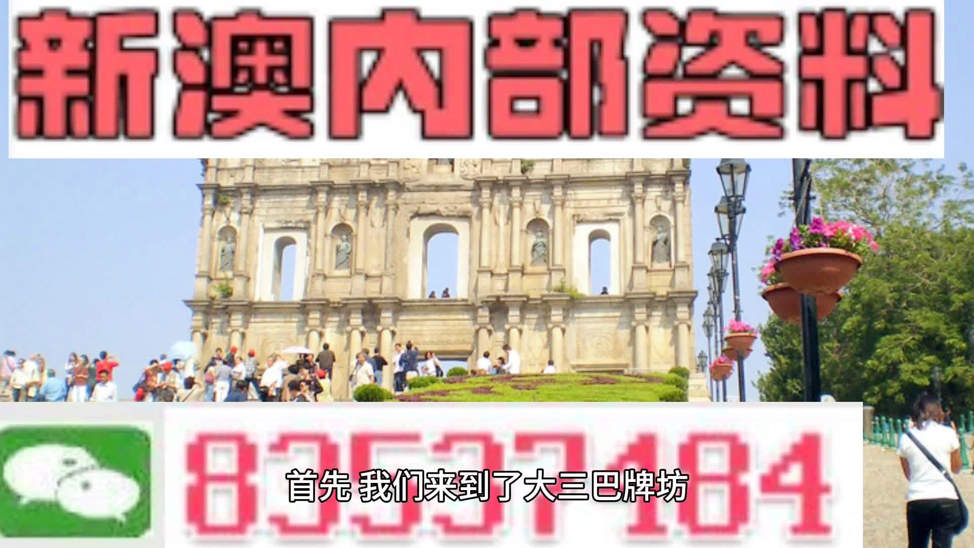 新澳持碼會資料詳解，新澳持碼會資料全面解析