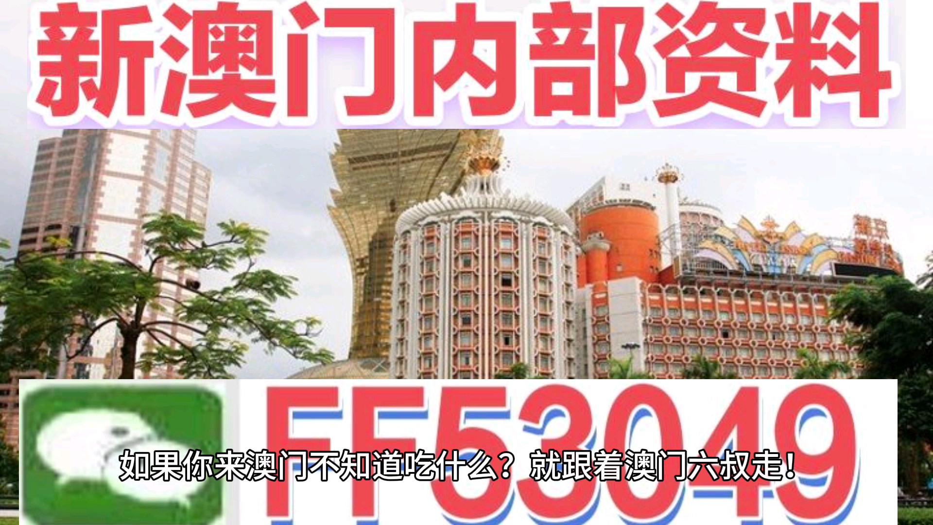 澳門今晚特馬生肖預測，探尋未來的幸運符號（2025年），澳門生肖預測揭秘，探尋未來幸運符號（特馬生肖預測 2025年展望）