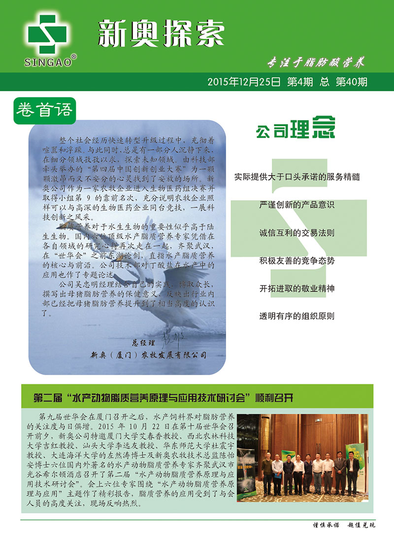 2025新澳正版資料查詢指南，2025新澳正版資料查詢手冊(cè)