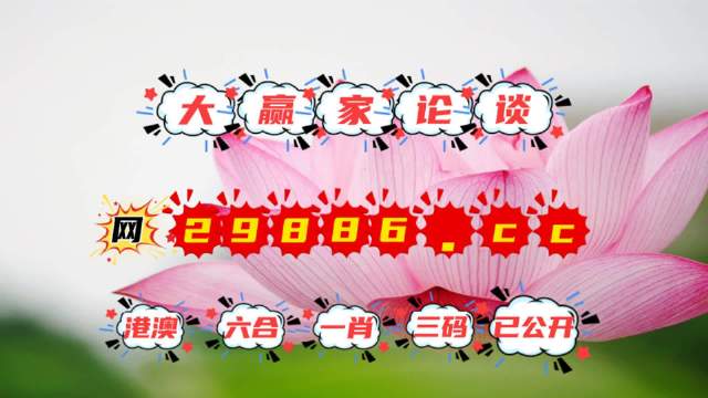揭秘4887王中王精準資料，全方位解讀，洞悉其獨特魅力，揭秘，全方位解讀王中王精準資料，洞悉其獨特魅力