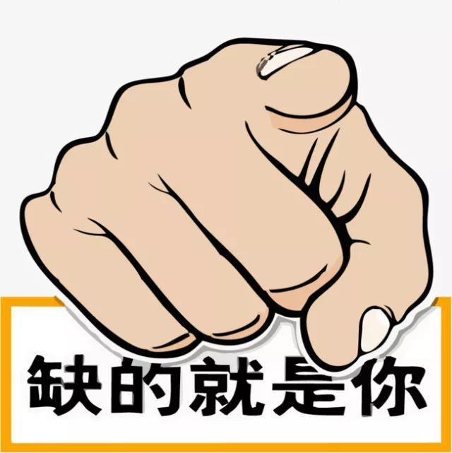 鐵算盤(pán)，全網(wǎng)矚目，傾力打造引領(lǐng)潮流的火熱品牌！，鐵算盤(pán)引領(lǐng)潮流，全網(wǎng)矚目成火熱品牌！