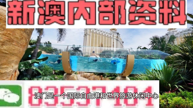 新澳的資料去哪里找——全面指南，新澳資料全攻略，尋找資料的途徑與指南