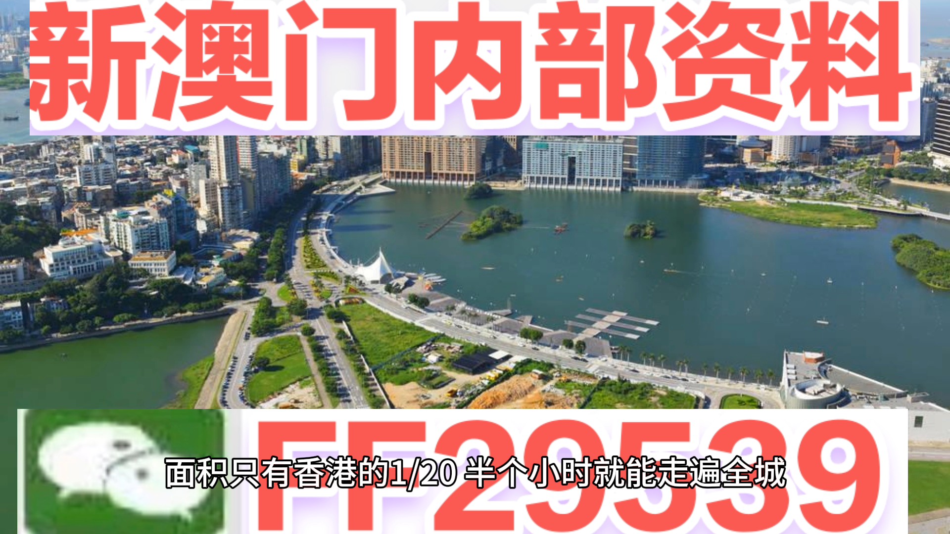澳門特碼，探索其背后的秘密與魅力，澳門特碼背后的秘密與魅力探索