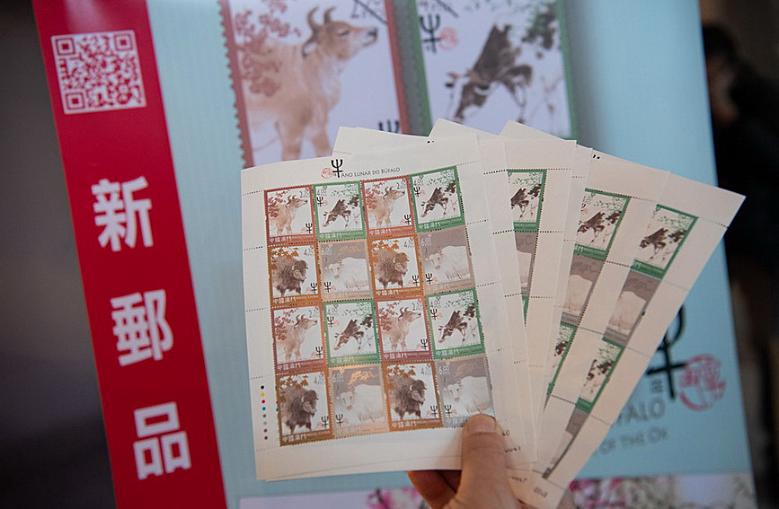 澳門值日生肖600圖庫與八百圖庫開獎，探索生肖圖庫的魅力與奧秘，澳門生肖圖庫開獎揭秘，探索值日生肖600圖庫與八百圖庫的魅力與奧秘