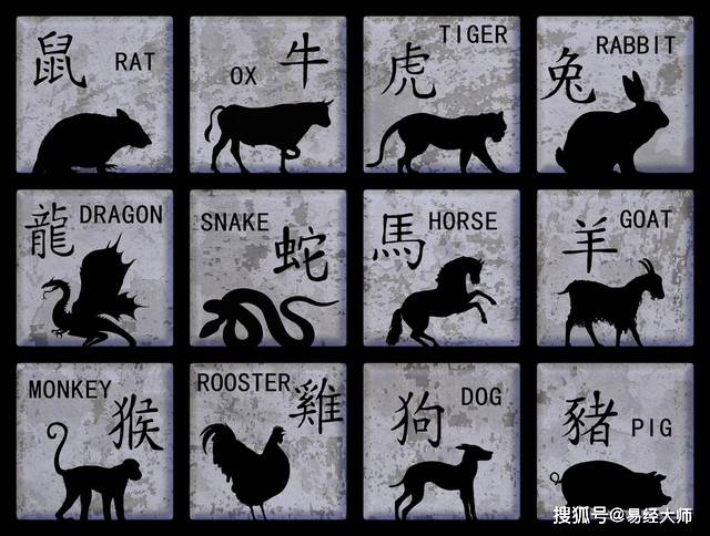新澳特碼，羊?；⒏鲾?shù)10的獨特魅力與解析，新澳特碼，羊?；⒏鲾?shù)10的獨特魅力深度解析