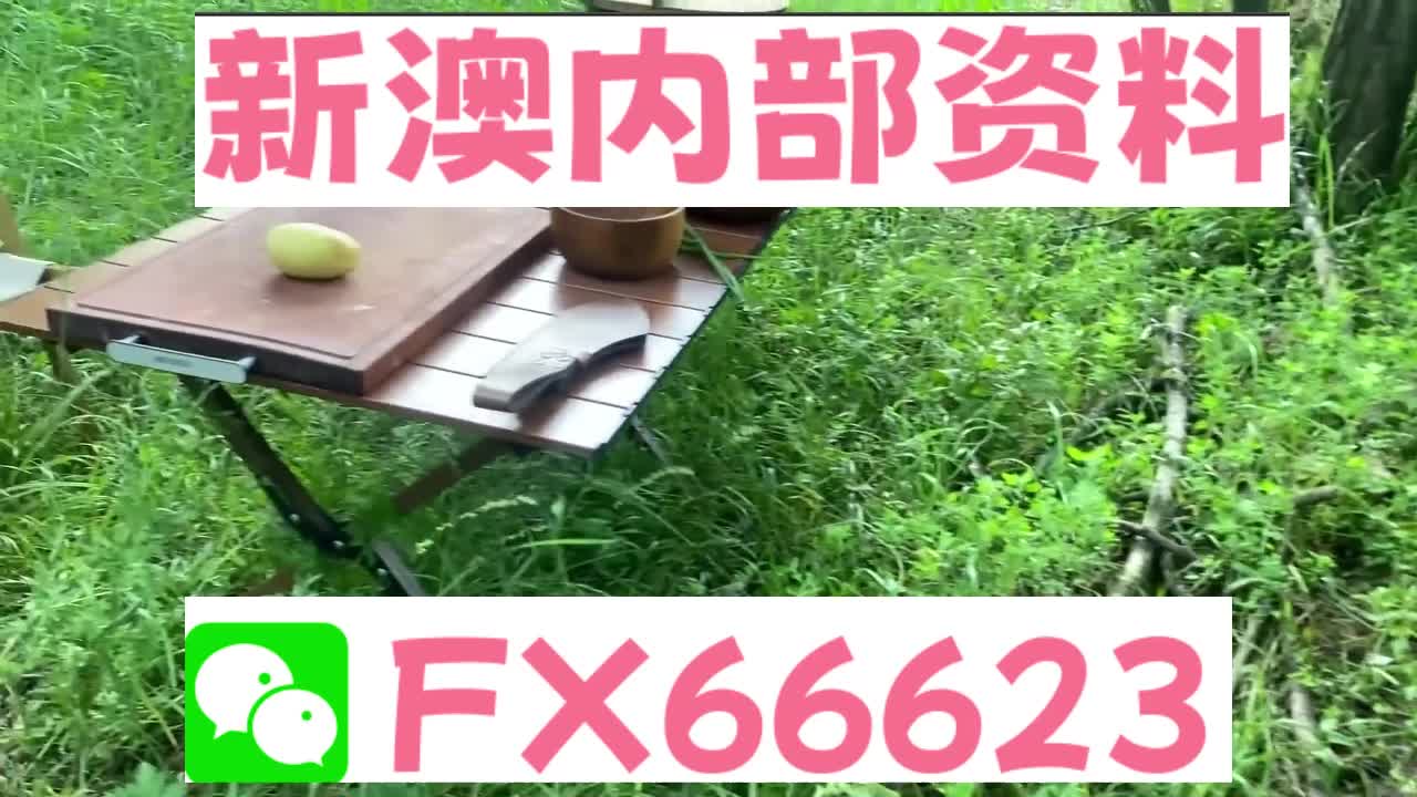 新奧特碼走勢(shì)圖解析與預(yù)測(cè)，新奧特碼走勢(shì)圖解析與預(yù)測(cè)，未來(lái)趨勢(shì)探討