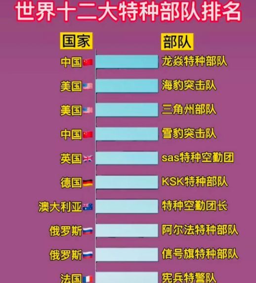 中國十大王牌特種部隊(duì)，實(shí)力與榮耀的象征，中國十大王牌特種部隊(duì)，實(shí)力與榮耀的巔峰標(biāo)志