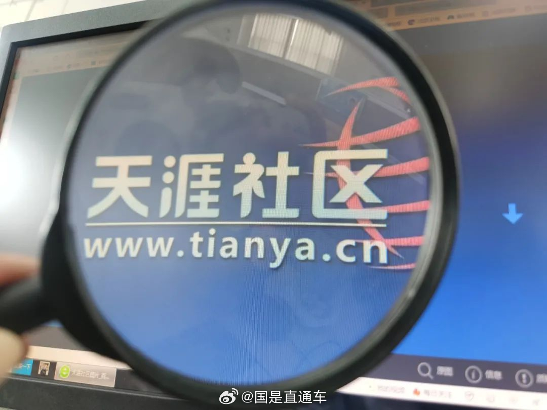 天涯國際觀察，全球視野下的深度分析與洞察，全球深度洞察，天涯國際觀察分析