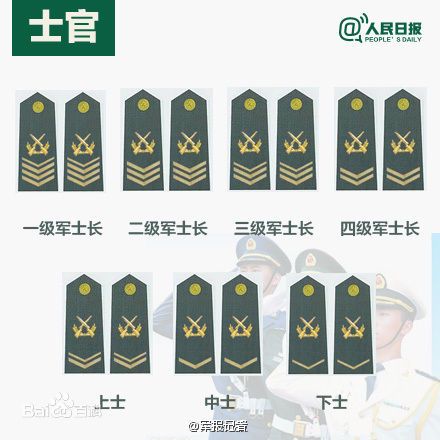 全球各國軍士長軍銜對照表及其重要性，全球各國軍士長軍銜對照表，揭示其重要性