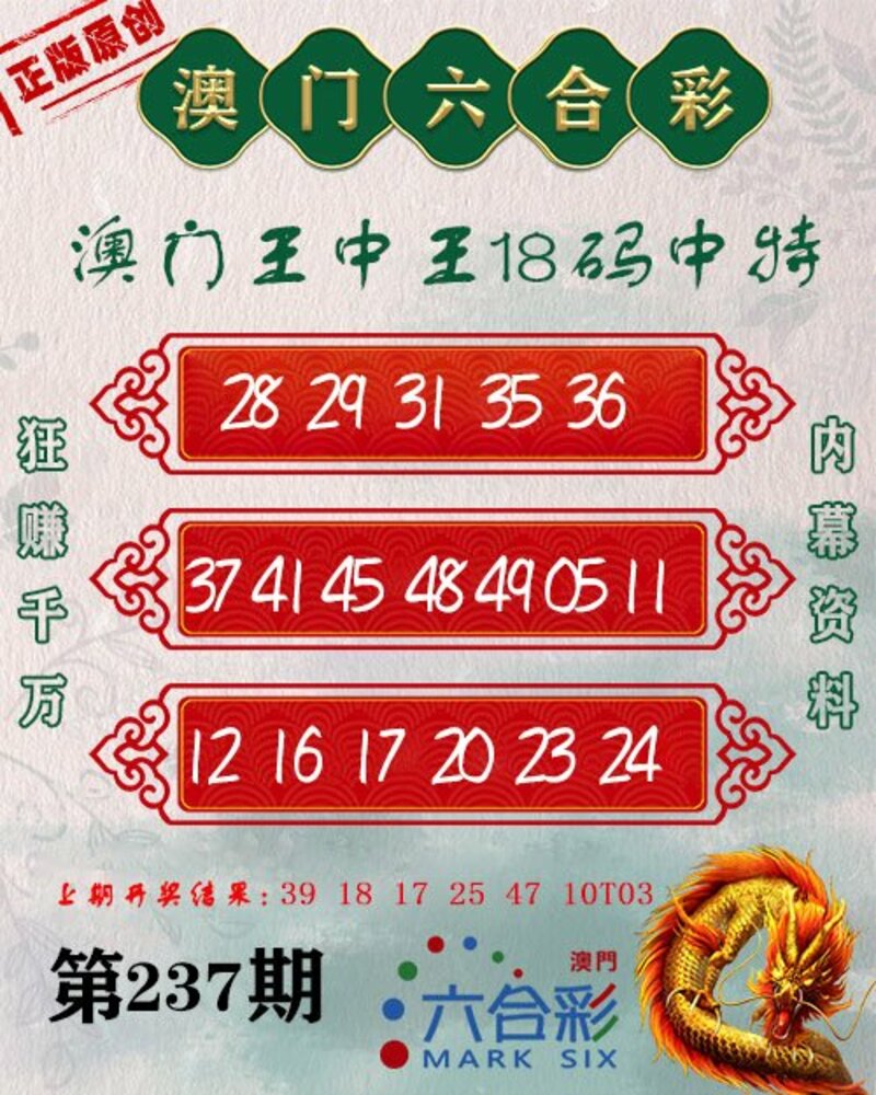 新澳門王中王期期中，探索與解析，新澳門王中王期期中，深度探索與解析