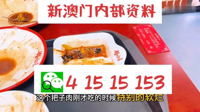澳門王中王六碼新澳門，探索與解析，澳門王中王六碼新澳門，深度探索與解析