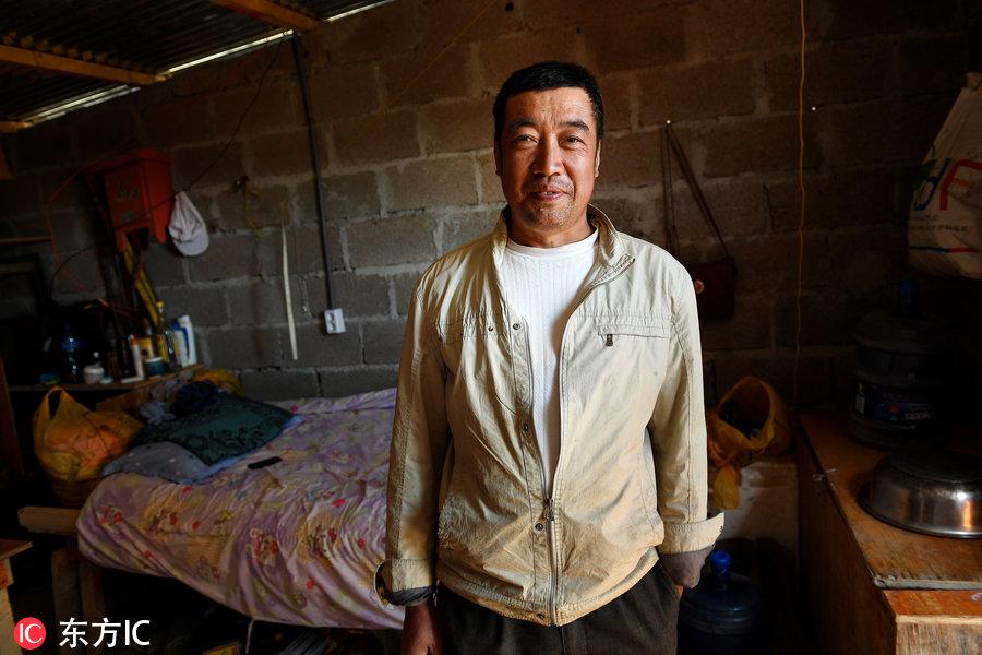 博科圣地組織，深度解析與理解，博科圣地組織深度解析與探究