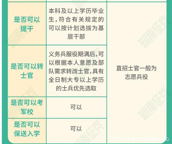 士官直招與義務(wù)兵的區(qū)別，深入了解軍隊招募制度，直招士官與義務(wù)兵招募制度深度解析，軍隊招募制度詳解