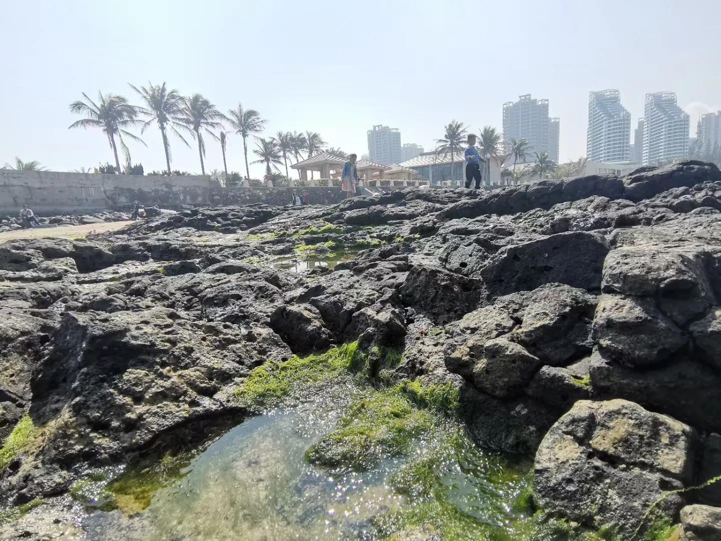 解放海南島電視劇全集下載，探尋30集完整劇情，解放海南島電視劇全集下載，探尋完整的30集劇情探索