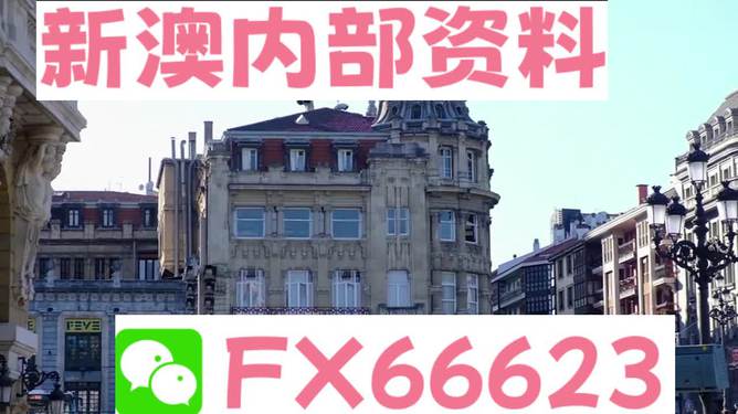 澳門六資料大全，深度探索與揭秘，澳門六資料大全，深度探索與揭秘之旅