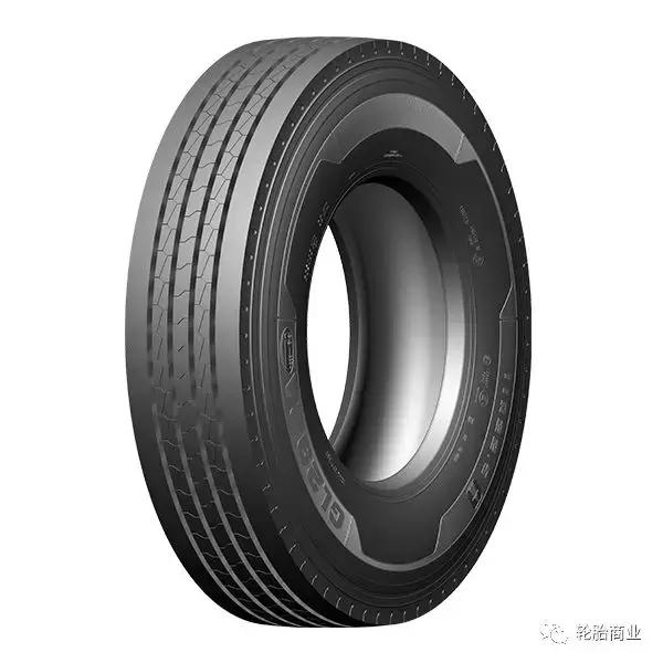 王中王295期指一生肖，揭秘生肖運勢與預測背后的秘密，揭秘生肖運勢預測，王中王295期生肖運勢背后的秘密探索