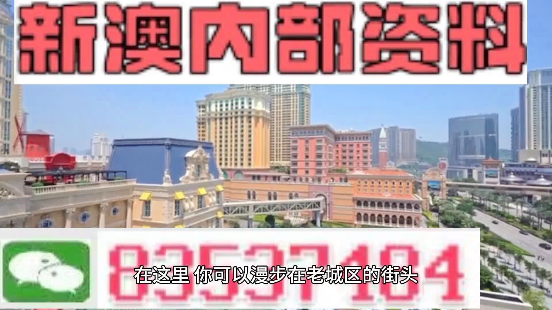 新澳門期期準(zhǔn)精準(zhǔn)，探索澳門的未來(lái)與SEO策略，澳門未來(lái)展望與SEO策略探索，精準(zhǔn)瞄準(zhǔn)新機(jī)遇