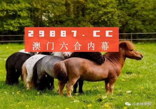 王中王四不像正版一肖中特圖，揭秘背后的秘密與獨(dú)特魅力，揭秘王中王四不像正版一肖中特圖的獨(dú)特魅力和背后秘密
