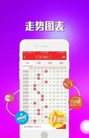 王中王精選發(fā)財(cái)一肖，揭秘生肖運(yùn)勢與財(cái)富之道，揭秘生肖運(yùn)勢與財(cái)富秘密，王中王精選發(fā)財(cái)一肖指南