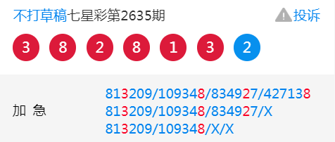 王中王平特一肖二中一，深度解析與探索，王中王平特一肖二中一深度解析與探索報告