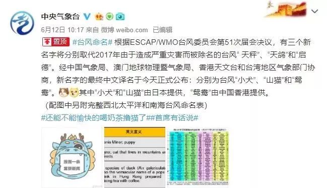 新澳門必中三肖三碼三期必開劉伯，揭秘彩票背后的秘密與策略，揭秘彩票背后的秘密與策略，劉伯的新澳門三期必開三肖三碼預(yù)測(cè)技巧