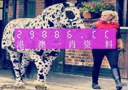 香港網(wǎng)址王中王一肖中特，探索與解析，香港網(wǎng)址王中王一肖中特，深度探索與解析