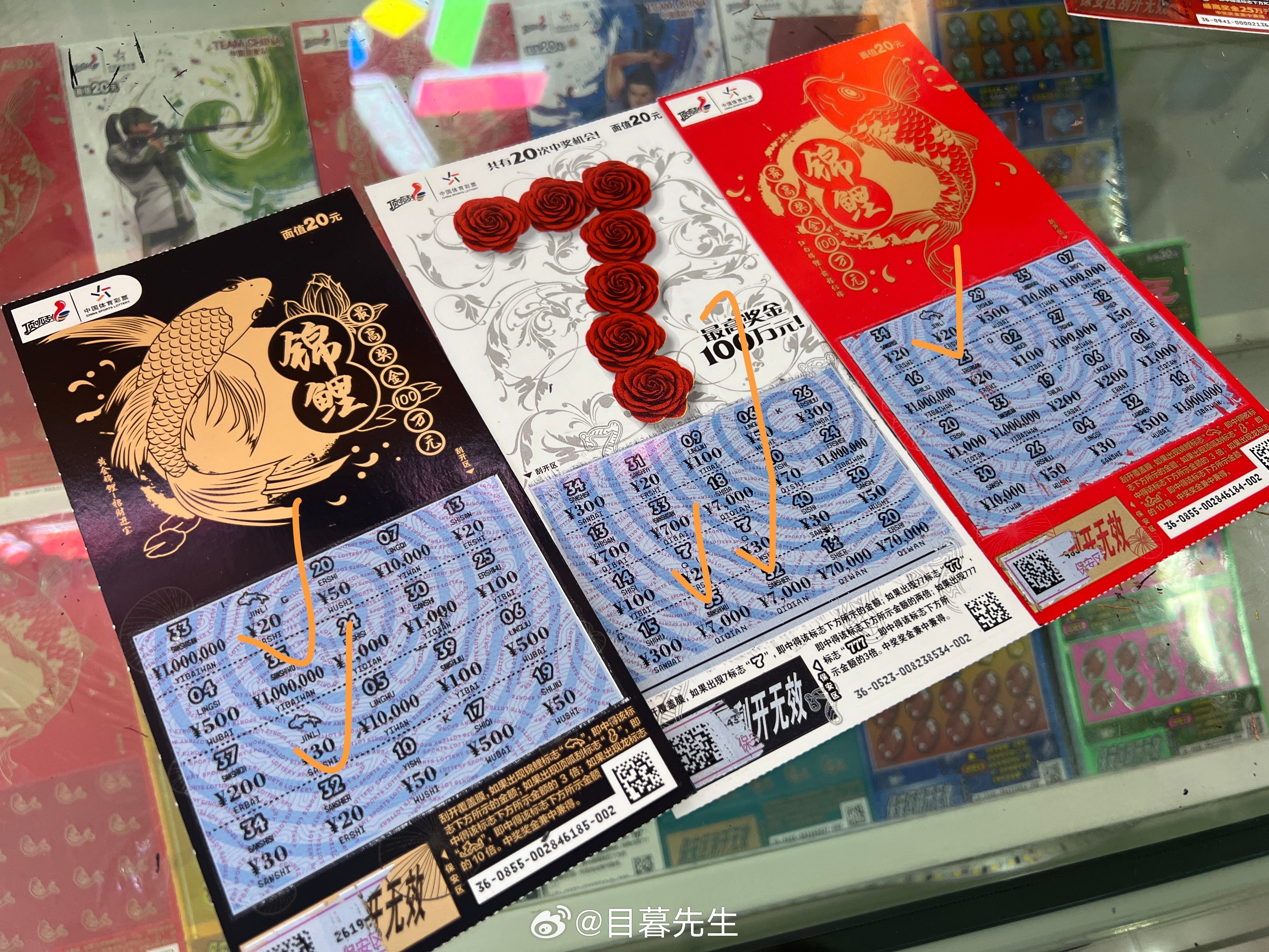 全年王中王一肖中特，深度解析與預(yù)測，全年王中王一肖深度解析與預(yù)測，揭秘特肖趨勢