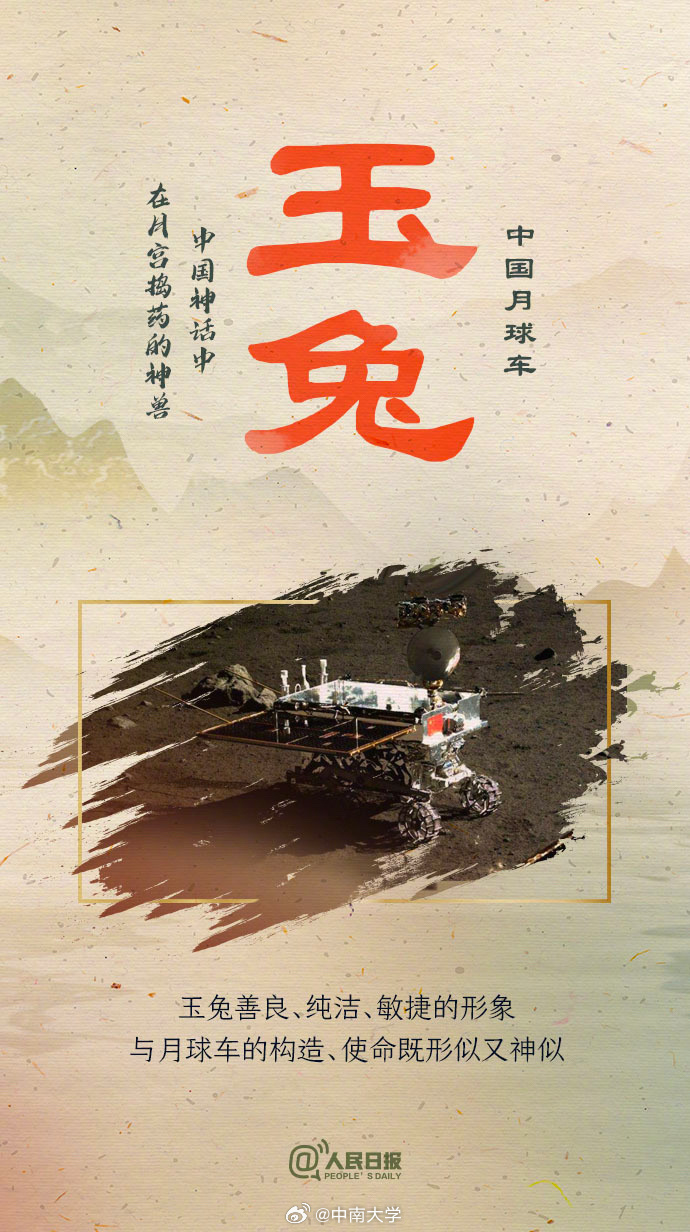 揭秘王中王平特一肖免會公開的奧秘，王中王平特一肖免公開揭秘奧秘