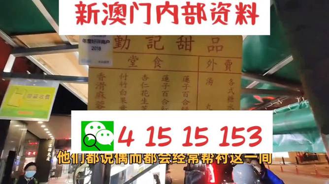 新澳門單雙肖期期，探索與解析，澳門單雙肖期期探索與解析指南