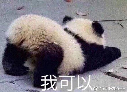 澳門精準四不像最新正版，揭秘與探索，澳門精準四不像揭秘與探索最新正版資訊