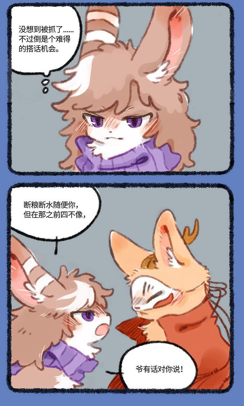 今天正版四不像，深度解析一種獨(dú)特的文化現(xiàn)象，深度解析，正版四不像——獨(dú)特的文化現(xiàn)象探究