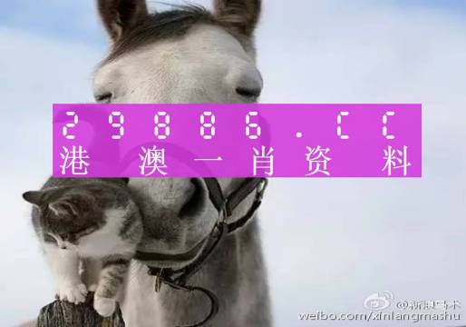 揭秘劉伯溫四肖選一碼的意思——探尋背后的故事與真相，揭秘劉伯溫四肖選一碼背后的真相與故事