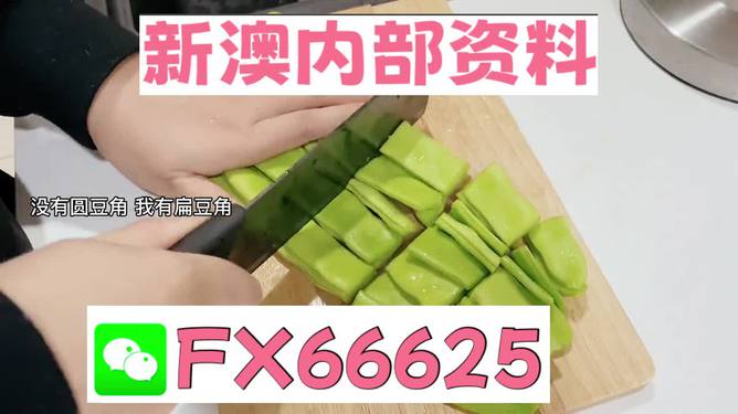 新澳精選資料
