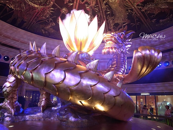 澳門(mén)無(wú)錯(cuò)七尾，探索與解析，澳門(mén)無(wú)錯(cuò)七尾，深度探索與解析